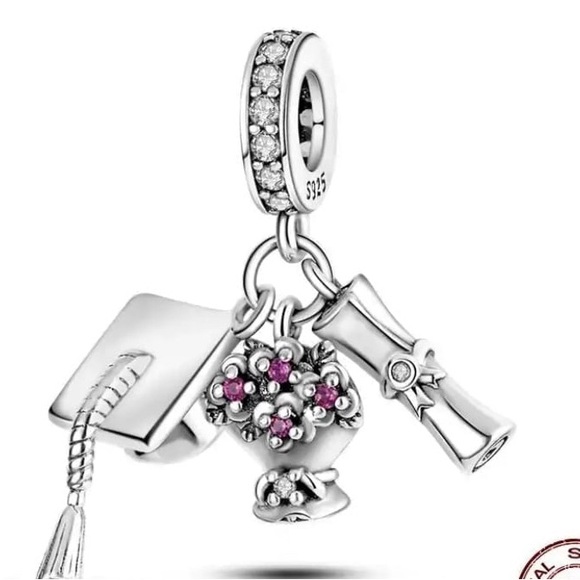 Pandora 2024 graduation bracelet size 17cm with 6 charms and keychain - Picture 8 of 12